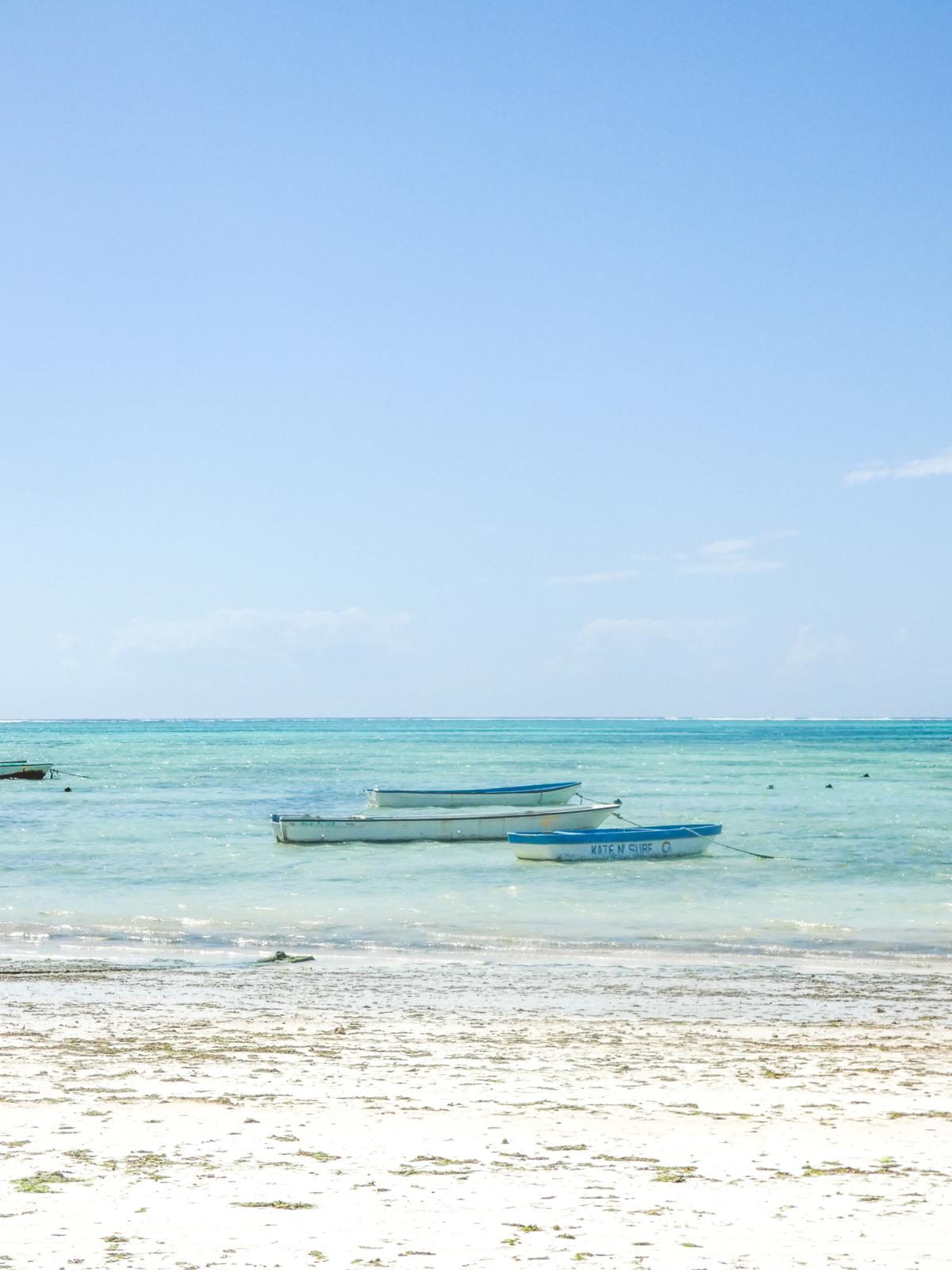 Turquoise Zanzibar coastline