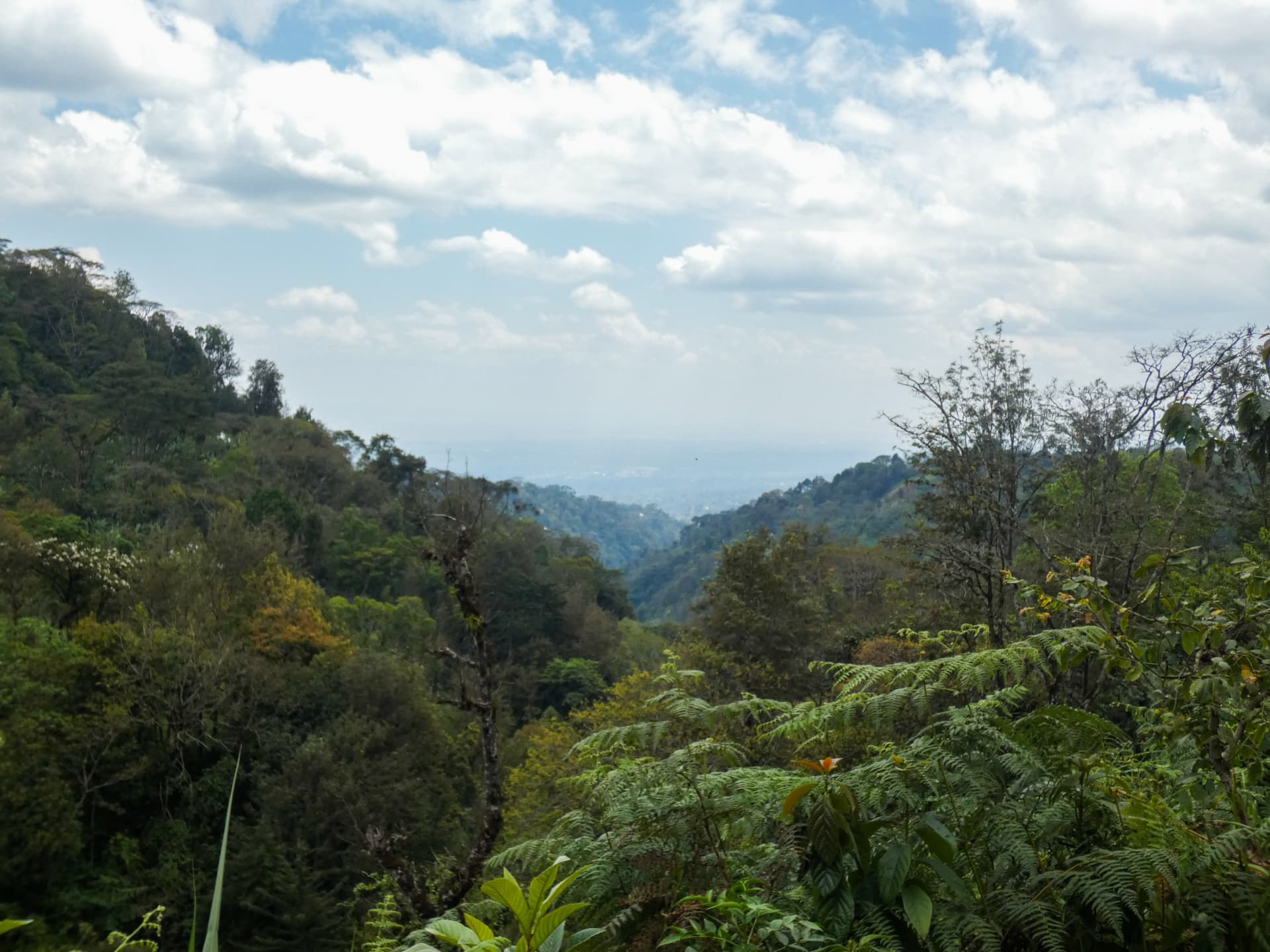 Rolling green mountains around Materuni village