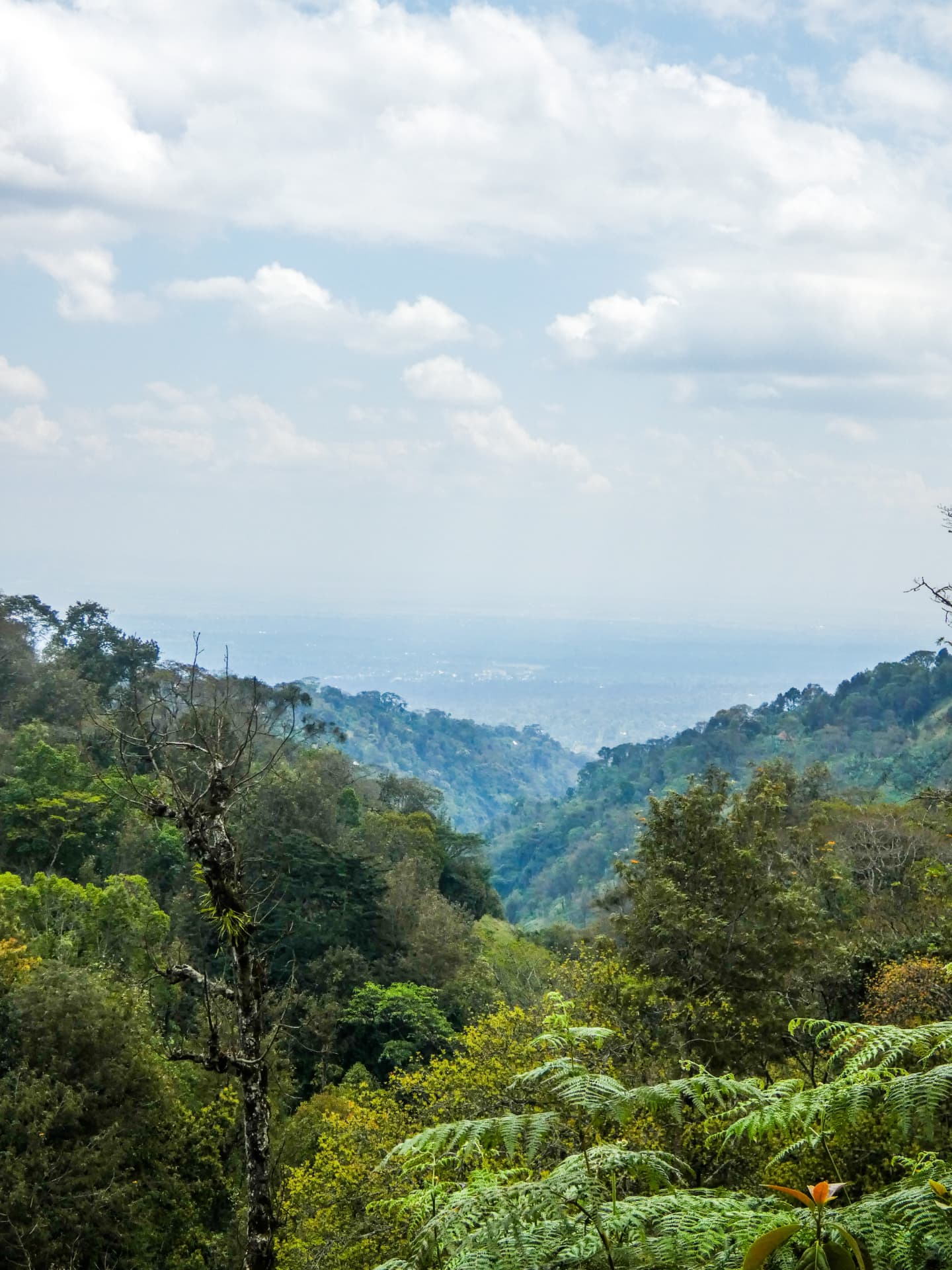 Wide view of the Materuni valley and hills under a cloudy sky