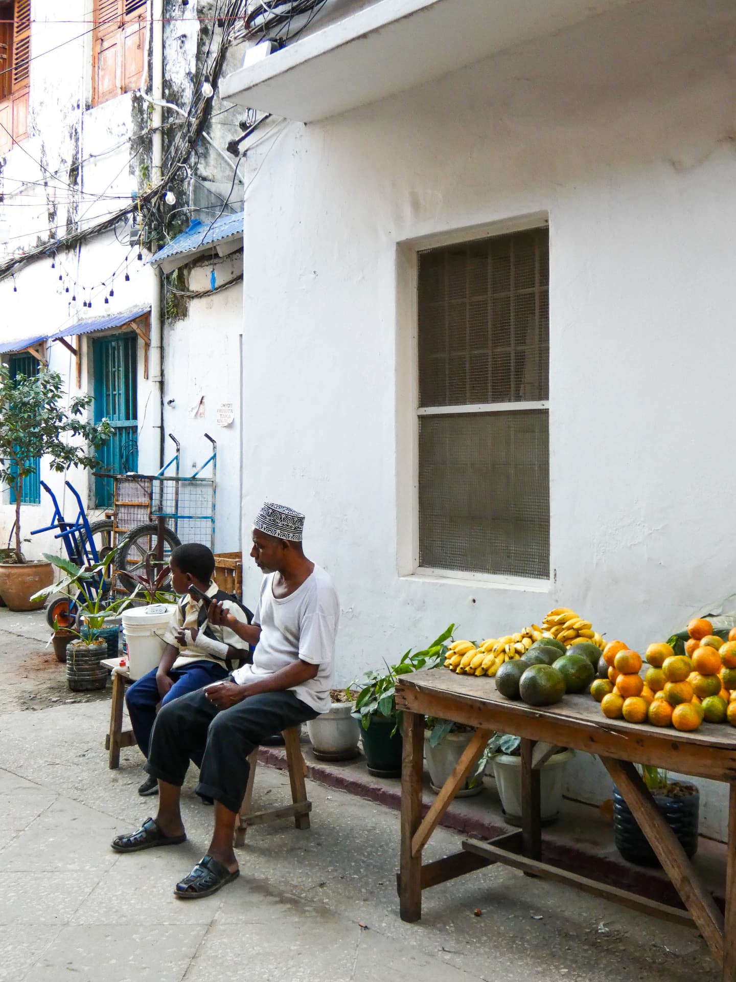 Stone Town Heritage Tour & Prison Island — Stone Town · Prison Island