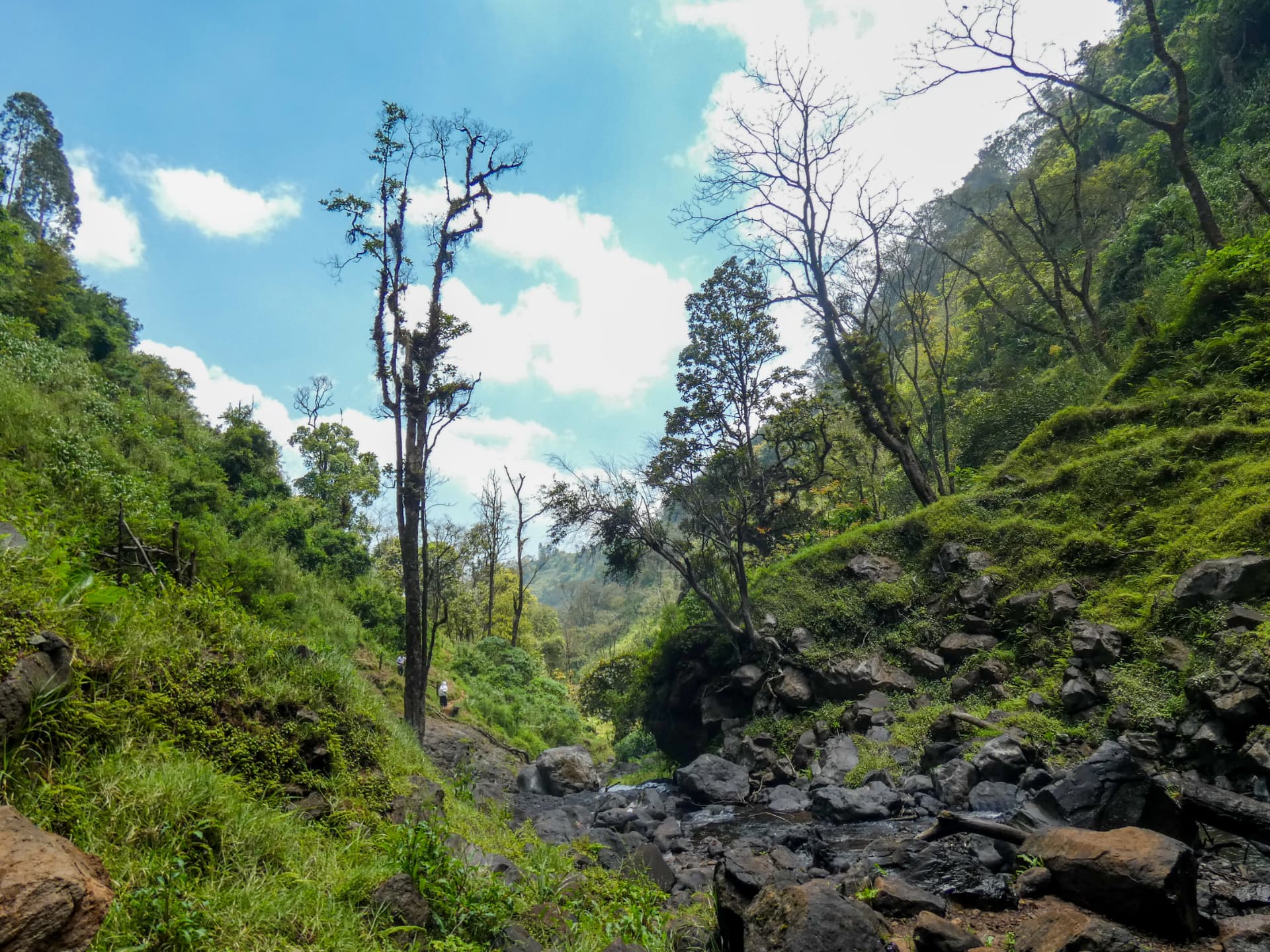 Lush green valley along the Materuni river with dense vegetation